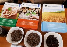 У Дніпропетровській облраді відбувся семінар з вирощування біоенергетичних культур і переробки їх в пелети 