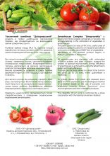 Дніпровський